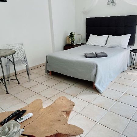 Appartement Climatise Parking Cite Paoline Corte  Exterior photo